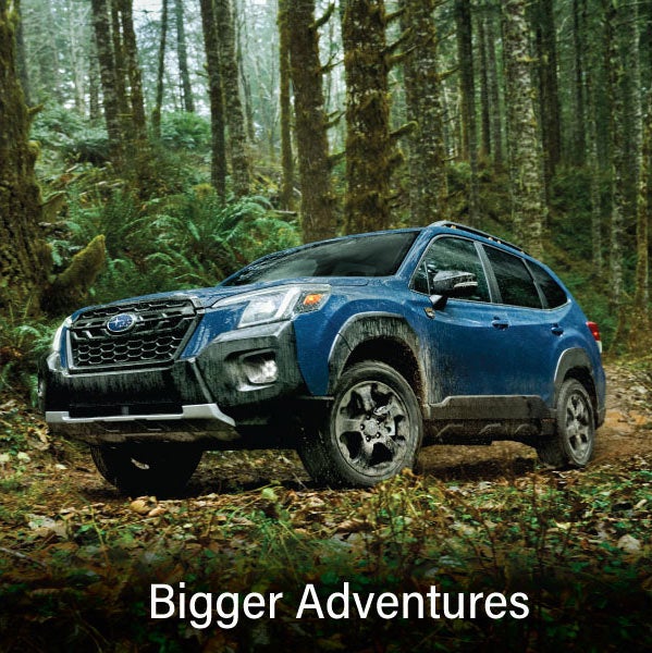 A blue Subaru outback wilderness with the words “Bigger Adventures“. | DELLA Subaru of Plattsburgh in Plattsburgh NY